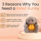 FluffyFeel™ - Rabbit Sensory Plush Toy