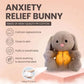 FluffyFeel™ - Rabbit Sensory Plush Toy
